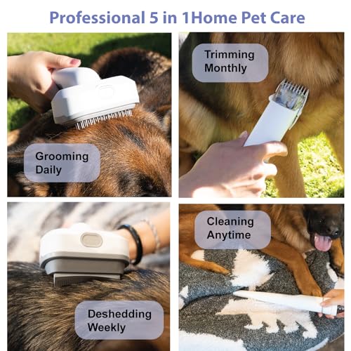 Professional-Pet-Grooming-Vacuum-KitSuction-99-Pet-HairElectric-Clippers-with-5-in1-Grooming-Tools-Kits-for-Shedding-Grooming-Home-Cleaning2L-Dust-CupQuietPet-Friendly - Cucciolini Doodles   Professional-Pet-Grooming-Vacuum-KitSuction-99-Pet-HairElectric-Clippers-with-5-in1-Grooming-Tools-Kits-for-Shedding-Grooming-Home-Cleaning2L-Dust-CupQuietPet-Friendly