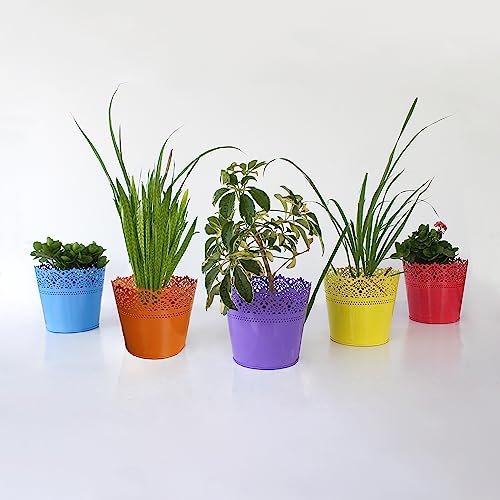 Image of TrustBasket Lace Planter-Set of 5 (Yellow, Teal, Red, Orange, Purple)