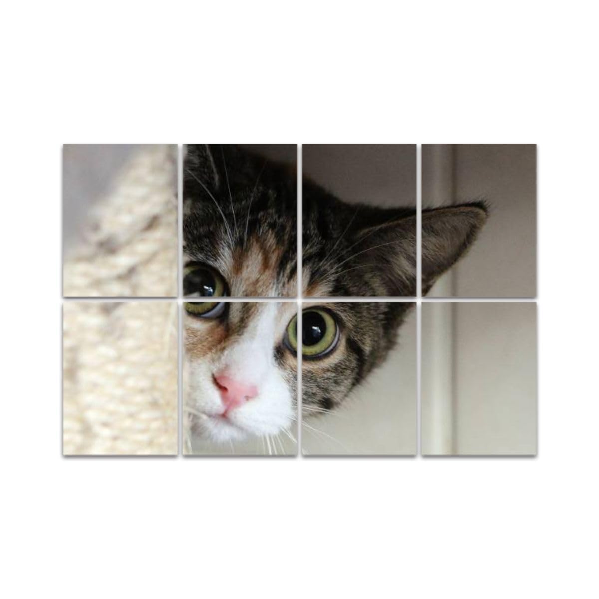 Art Acoustic Panels, Selective closeup shot a cat hiding behind a cat tower Acoustical Soundproof Wall Panel with Self-Adhesive Decorative Sound Absorbing Panel Acoustic Treatment