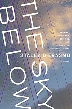 Paperback The Sky Below: A Disturbing LGBTQ Literary Novel – A Gay Bildungsroman of Hope Book