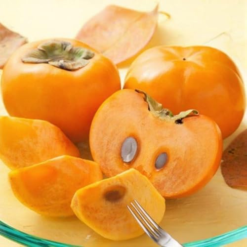 [先行予約 2026年][甘柿の王様]和歌山産富有柿約3.5kgサイズ混合[TM4]