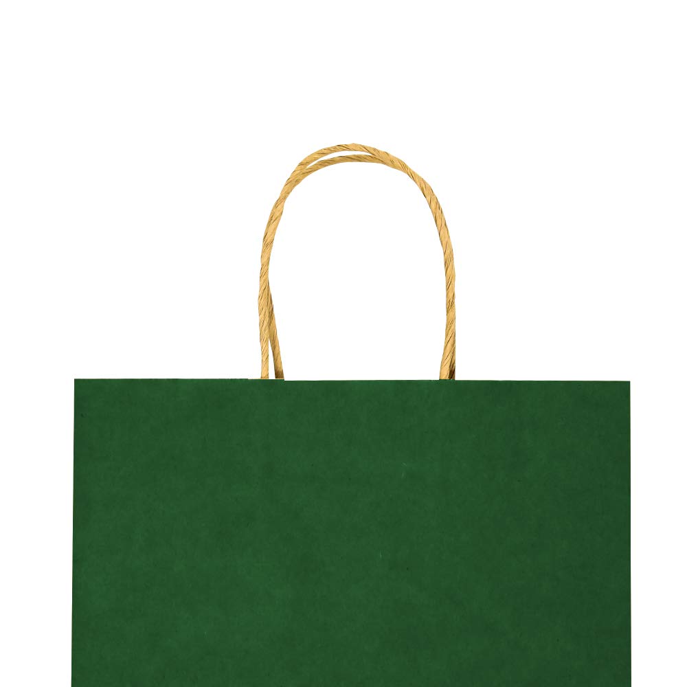 bagmad 100 Pack 5.25x3.25x8 inch Small Green Kraft Paper Bags with Handles Bulk, Gift Bags, Craft Grocery Shopping Retail Party Favors Wedding Business Sacks (Dark Green, 100pcs)
