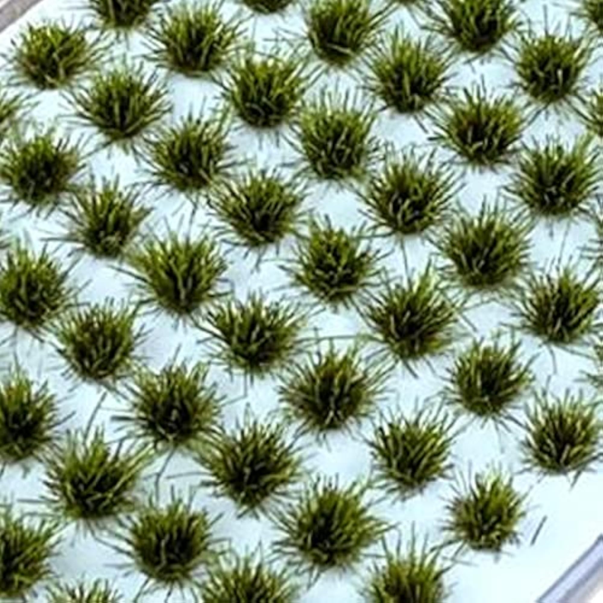 Grass Tuft Model Diorama Layout Decor
