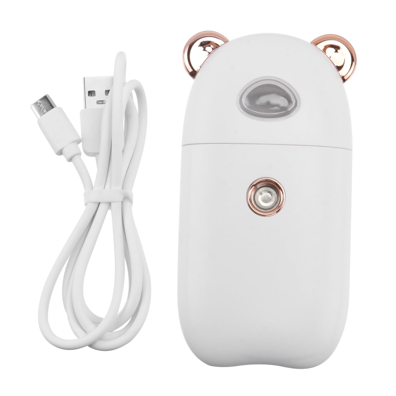 VICASKY Nano Mist Facial Sprayer Portable Face Beauty Humidifier for Dry Oily Skin Handheld Toner Spray Spray Fan