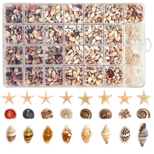 PIQUATOOL Tiny Seashells for Crafts Small sea Shells in Bulk with mini Starfish for Home Decorations DIY Ornaments Sea Shells for Crafting Vase Filler Fish Tank