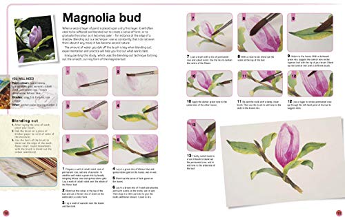 Ready to Paint in 30 Minutes: Flowers in Watercolour