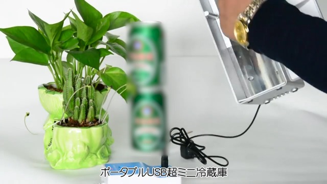 Amazon.co.jp: HANSHUMY 超ミニ冷蔵庫 USB冷温庫 自動車用ウォーマー