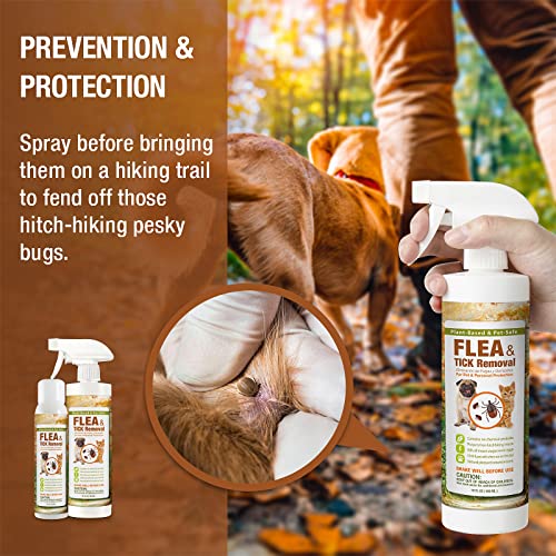 EcoVenger Flea & Tick Removal Spray 16oz for Dogs and Cats, Protects from Fleas, Mites, Ticks & Mosquitoes, eliminates+ Repels+ Housekeeping, Indoors/Outdoors, Plant-Based Formula Safe for Pets & Kids - Thumbnail 6