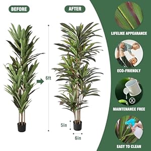 Dracaena Artificial Plant 6ft Red Yucca Silk Tree Faux Plants Indoor Tall Fake House Floor Plants Realistic Artificial Trees for Home Office Decor Indoor Outdoor Housewarming Gift Dracaena Artificial Plant 6ft Red Yucca Silk Tree Faux Plants Indoor Tall Fake House Floor Plants Realistic Artificial Trees for Home Office Decor Indoor Outdoor Housewarming Gift