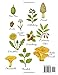 Where the Wild Plants Grow: Virginia and the Appalachian: A Forager’s Guide to Wild Food, Medicinal Herbs, and Natural Remedies