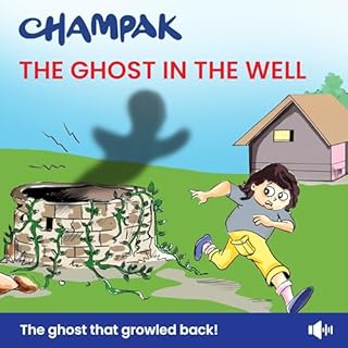 Ghost in the Well cover art