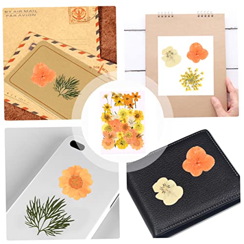 Kit 40 flores prensadas secas color naranja para manualidades miniatura 3
