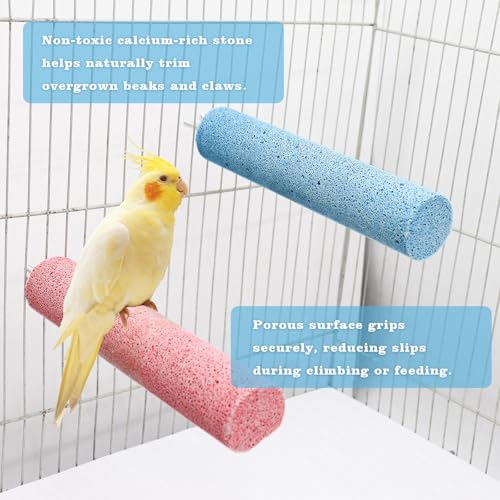 Image of Dual-Textured Bird Perch, 2-Pack - Chewable Mineral Stone & Metal Rod Stand for Small /Medium Birds | Cage Mounted Perches for Beak Grinding, Claw Trimming (Blue & Pink)