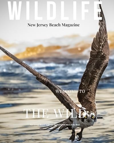 New Jersey Beach Magazine Wildlife 2024: NEW JERSEY WILDLIFE