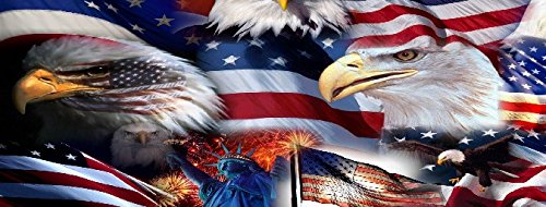 GRAPHIX EXPRESS T40 American Flag Eagle Tailgate WRAP Vinyl Graphic Decal Sticker F150 F250 F350 Ram Silverado Sierra Tundra Ranger Frontier Titan Tacoma 1500 2500 3500 Bed Cover
