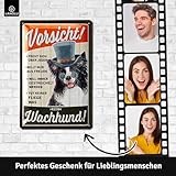 LANOLU Retro Blechschild Vorsicht kein Wachhund, Hunde Geschenke, lustiges Warnschild als Geschenk für Hundeliebhaber und Hundefreunde, Deko Schild Hund, 20x30cm