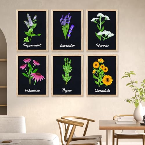 Image of kotart Kitchen Herbs Digital Painting for Wall Decoration - Minimal Cooking Art Prints Restaurant Dinning Room Decor (14X20 Inch, E) Pack of 6
