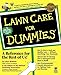 Lawn Care For Dummies
