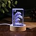 YouerCrystal 3D Crystal Dolphin Figurine Night Light with LED Base, Birthday Gift for Kids Women, Thanksgiving Christmas Valentines Anniversary Birthday Gifts