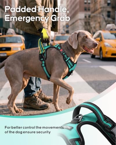 Taglory No Pull Dog Harness for Large Dogs, Bungee Extension, Teal Green, L — view 5