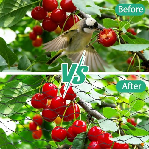4 x 6m Vogelschutznetz Schwarz, Vogelnetze Vogelschutznetz, Gartennetz, Teichnetz, Laubnetz, Taubennetz,Vogelschutznetzs Engmaschig, Wiederverwendbar, Robust, für Obstbäume Gemüse Teiche Garten Balkon