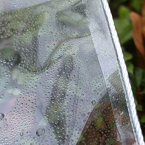 Transparent Tarpaulin Waterproof Heavy Duty PVC Curtain Windproof Ground Sheets for Camping Fishing Gardening Pets (Size : 6X6m)