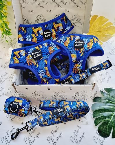 Wild Spirit Leopard Dog Collar XS, Blue, extra small - Image 2
