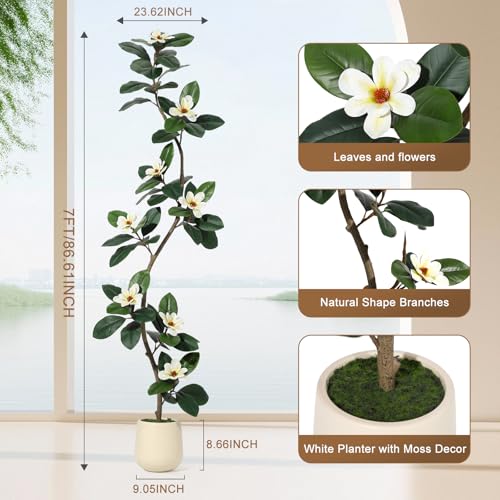 Rubber Tree 7FT Artificial Tree in White Planter Pot,Faux Plants Indoor Faux Floor Plant Artificial Plants with 8 Pcs Magnolia Flowers for Home Decor, Artificial Fiddle Leaf Fig Tree for Office