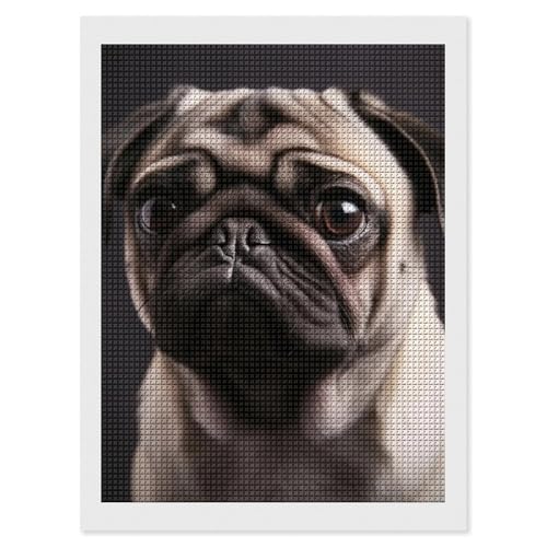 Peinture diamant carlin 5D strass carrés | Kit loisirs créatifs adultes 30x40 cm