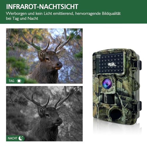 HAZA Wildkamera,2.7K Wildtierkamera,58MP Full HD wildkamera mit bewegungsmelder nachtsicht,beobachtungsmonitore mit 32G SD Karte,0,1s Auslösezeit,IP66 Wasserdicht,Timer,Zeitraffer,Tierkamera (2.7K)