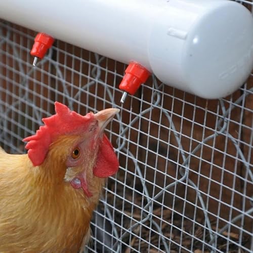 Abbeveratoio per capezzoli per pollame | Capezzoli per abbeveratoio automatico di galline - Dispenser automatico in acciaio inox per avicoltura equina e animali da cortile all'interno e all'esterno e - immagine 3