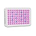 300w LED Grow Light, Upgraded Full Spectrum Reflector-Series Plant Lamp with Heatproof Case for Greenhouse Hydroponic Indoor Plant by Lightimetunel