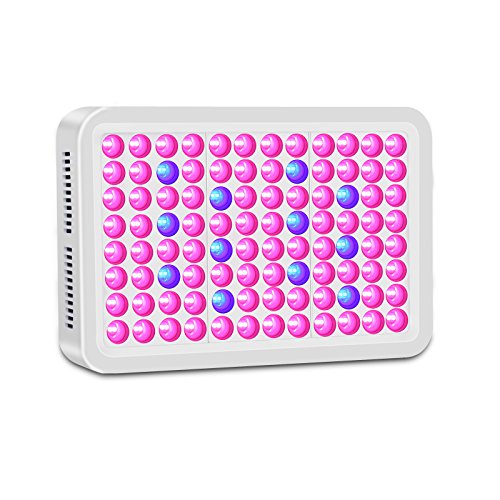 300w LED Grow Light, Upgraded Full Spectrum Reflector-Series Plant Lamp with Heatproof Case for Greenhouse Hydroponic Indoor Plant by Lightimetunel