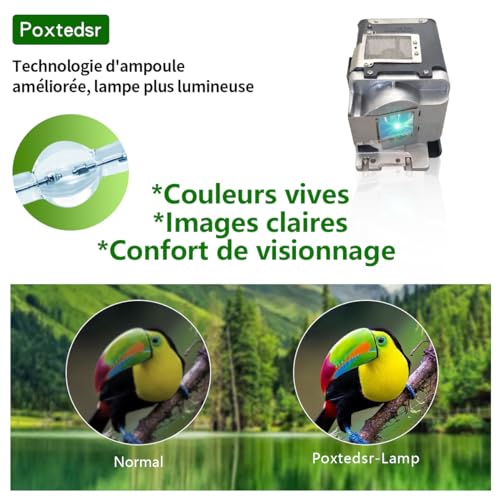 Poxtedsr Replacement Projector Lamp Bulb with Housing Compatible withVLT-HC3800LP - Image 4