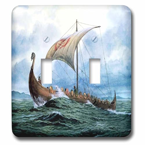 Interrupteur à bascule double pour remplacer vos plaques blanches par le drakkar 3dRose