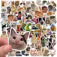 Duoleimi 100 pack meme sticker set pegatinas divertidas