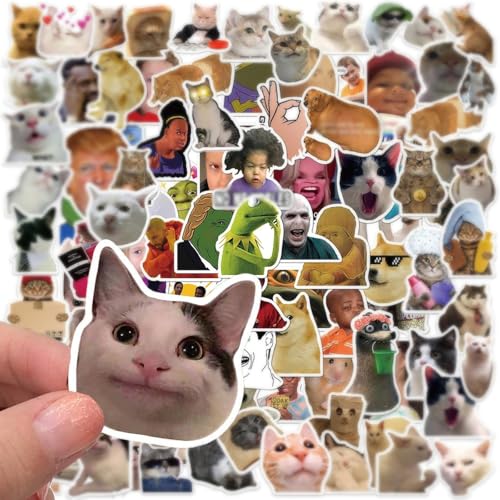 Duoleimi 100 pack meme sticker set pegatinas divertidas pegatinas de vinilo impermeable para portátil niños coche moto bicicleta monopatín maleta ordenador   cool meme pegatinas profesor graffiti