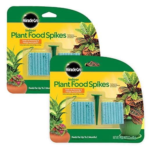 Miracle-Gro Indoor Plant Food Spikes, Includes 48 Spikes - Continuous Feeding for all Flowering and Foliage Houseplants - NPK 6-12-6