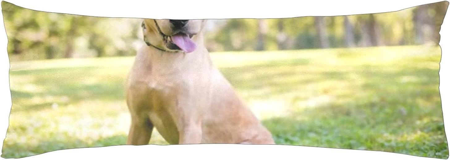 labrador body pillow