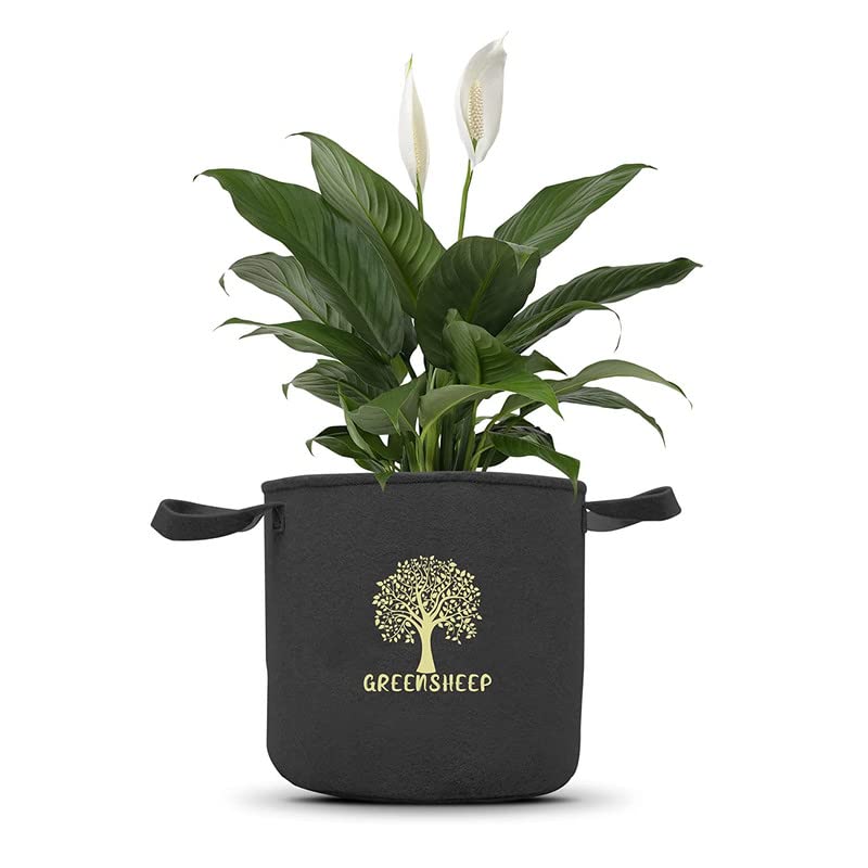 Image of GREENSHEEP Geo Fabric Grow Bags with Handles-Breathable and Reusable Plant Bags for Indoor (Dark Grey) (Pack of 3) (Size-24x24)
