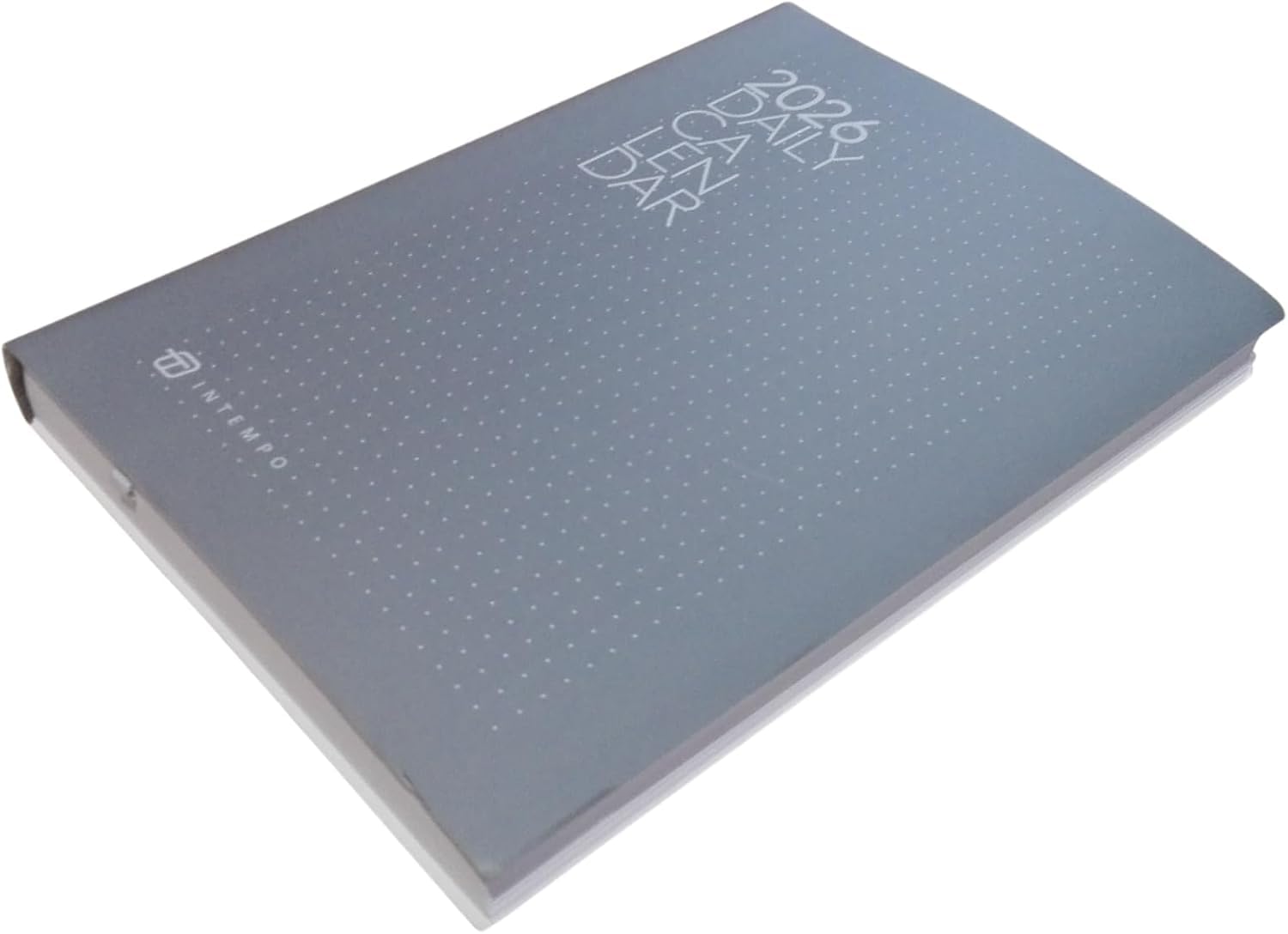 Intempo 2025-12 Monate Tageskalender Belt aus braunem Leder 15 x 21 cm für den täglichen Gebrauch, Büro, Reisen - Innen austauschbar