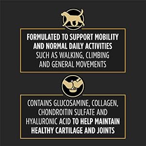   Purina-Pro-Plan-Veterinary-Joint-Care-Joint-Supplement-for-Large-Breed-Dogs-Hip-and-Joint-Supplement-529-oz-Pouch