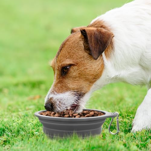 Rest-Eazzzy 2-Pack Silicone Collapsible Dog Bowls, BPA Free Dishwasher Safe, Portable Foldable Travel Bowl, Food Water Feeding Cup Dish for Dogs Cats with 2 Carabiners (Grey, Pink, 550 ML) image 5