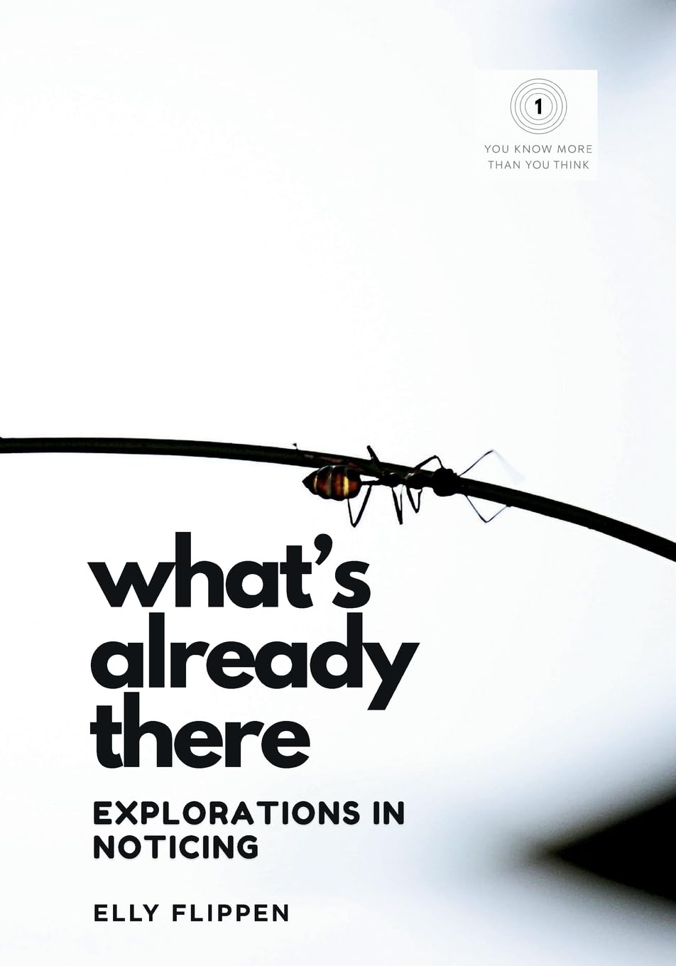 What's Already There: Explorations in Noticing: 1 (You Know More Than You Think)