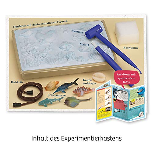 KOSMOS 658038 Meeres-Abenteuer, Grabe die Tiere aus dem versteinerten Meer frei. Mit Muschel-Kettenanhänger, Experimentierset für Kinder ab 7-10 Jahre, Deko, Schmuck, Mitbringsel, kleines Geschenk – Bild 4