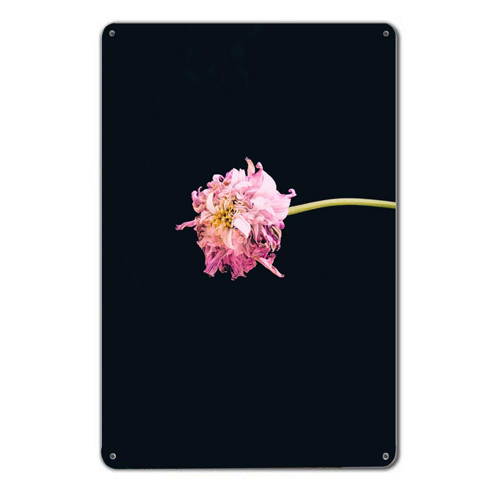 License Plate Signs Vehicle Sign Personalized 3D Flower Black Decorative Front Plate Home Bathroom Pub Bar Wall Decor 8"x12"