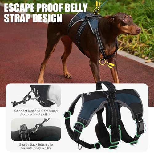 Image of Mihachi Dog Harness for Medium Dogs, Escape Proof No Pull Service Vest with Reflective Strips and Control Handle, Adjustable and Cozy for Easy Walking, No Choke Pet Harness with 2 Metal Rings, Blue M