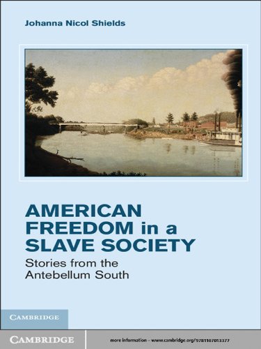 Freedom in a Slave Society: Stories from the Antebellum South (Cambridge Studies on the American South)