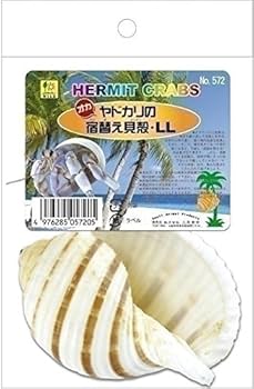 Amazon | SANKO オカヤドカリの宿替え貝がら LL | Sanko | ヘルスケア 通販