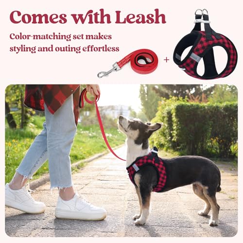 Image of rabbitgoo Dog Harness Small Sized and Leash Set, Step-in Puppy Pet Vest